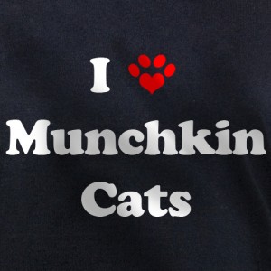 Munchkin cats