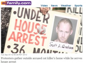 cat killer