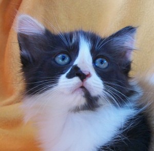 100_5226 face