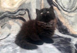 345430724_771264274563569_8168326217285655733_n