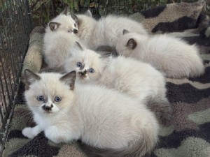 568287954_24976897951922557_5584333096133625484_n