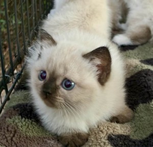 568410868_24976933118585707_5939232929744447215_n