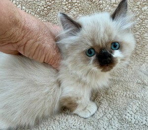 573049677_1414185727383311_4974313387183096577_n