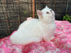 586232894_25296292016649814_1011353919945885814_n