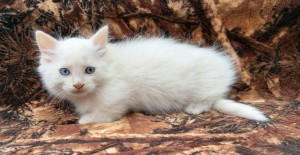 587831639_25295561256722890_4730200134748991419_n