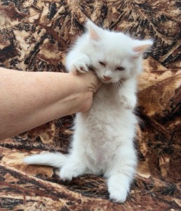 587955190_25295561640056185_7435232777176086578_n