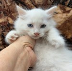 589180411_25295561136722902_6813267531639528587_n