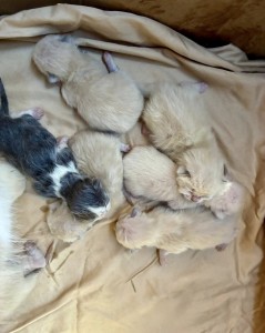 643865835_26122923793986628_6586641490058090944_n