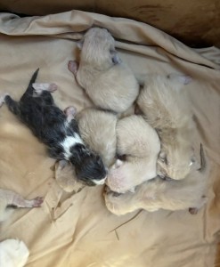 643947204_26122923703986637_3652661433919775794_n