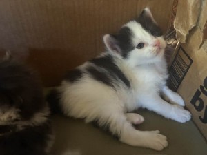 653200504_26350322134580125_829314414635145710_n