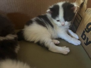 656004326_26350322461246759_517430567686852315_n