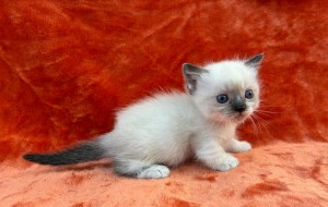 656868365_26456079810671023_9033467122632069331_n