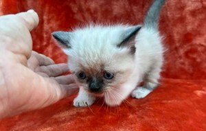 657309296_26447281868217484_6995022369103060823_n