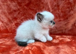 657566687_26447298411549163_44339052826793896_n