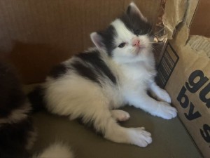 658014815_26350321994580139_2262007155234772410_n