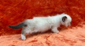 658236832_26456075520671452_1382930775653861468_n