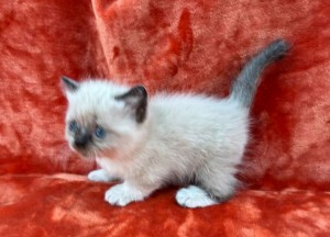 658273542_26447281304884207_305254696889563355_n