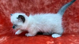 658810190_26447281564884181_2406904266805595576_n