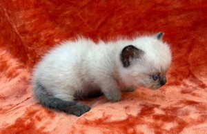 658899596_26423248943954110_7503600191066204287_n