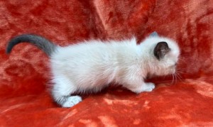 659358696_26447281308217540_7766716621933109955_n