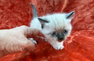 659700371_26447281874884150_4317814530941762968_n