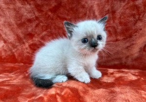 660098413_26447298138215857_5524525060286642390_n