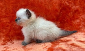 660287564_26423248370620834_608942849576837003_n