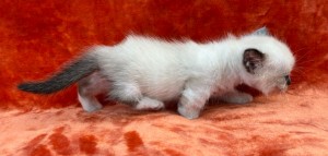 660319849_26456074924004845_6628858802060639121_n