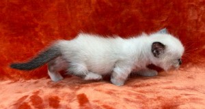 660319849_26456074924004845_6628858802060639121_n