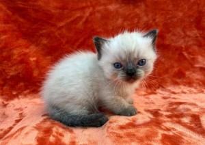 660404422_26423248610620810_3106416840215563164_n