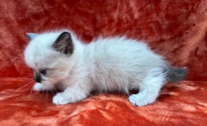 660510302_26447298718215799_1409762651975050080_n