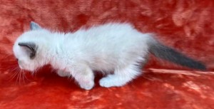 660545838_26447298998215771_1674023813840942647_n