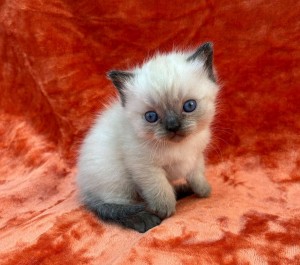 660938863_26423248683954136_769342722846298102_n