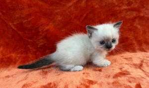 663229645_26456073784004959_2667991672092244820_n