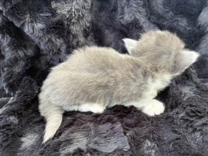 666880983_26524107720534898_3763103448207286819_n