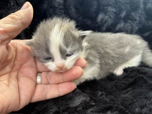 666891904_26524107767201560_869178152225109813_n