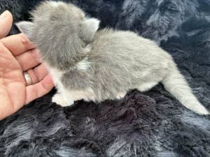 667221588_26524107717201565_4701294595013550338_n