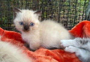 671846238_26594769713468698_4163303576370298445_n