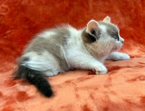 671957794_26620803517531984_5552558711611085168_n