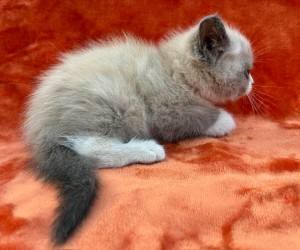 671957795_26620795314199471_8883709194427481366_n