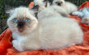 672074385_26594772083468461_3133536172977411334_n (1)