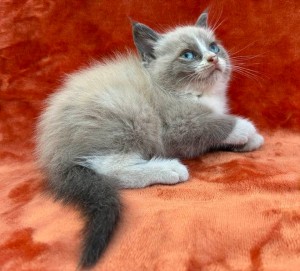 672148486_26620795330866136_5828304314280613539_n