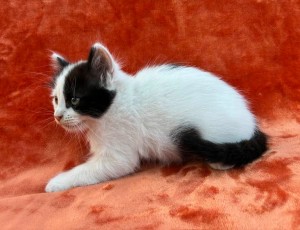 672189530_26620771227535213_8338639208589527253_n