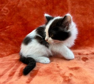 672350940_26620771020868567_4710838838676083081_n