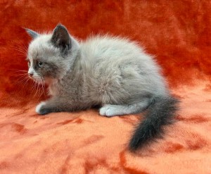 672379688_26620795784199424_2611978473367607768_n