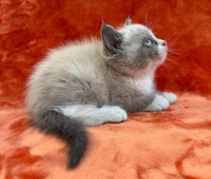 672387850_26620795774199425_2123719304943780858_n S