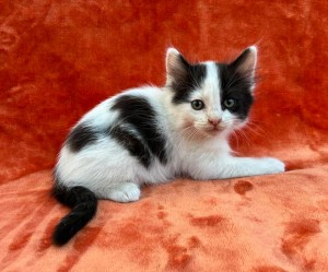 672670501_26620771014201901_8027856242603423916_n