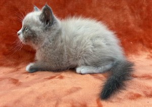 672671775_26620796050866064_4272550145062491603_n