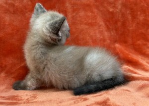 672672581_26620445374234465_991460191118850728_n