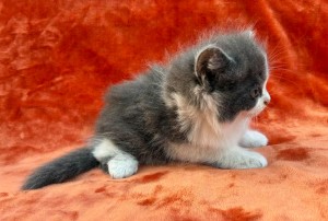 672685695_26620780980867571_7615676456946208116_n